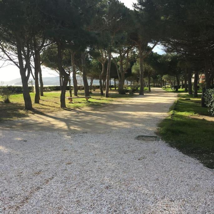 F3 Classe Meuble Tourisme "Gites De France" A 80 Metres De La Plage أرجيليه- سور- مير المظهر الخارجي الصورة